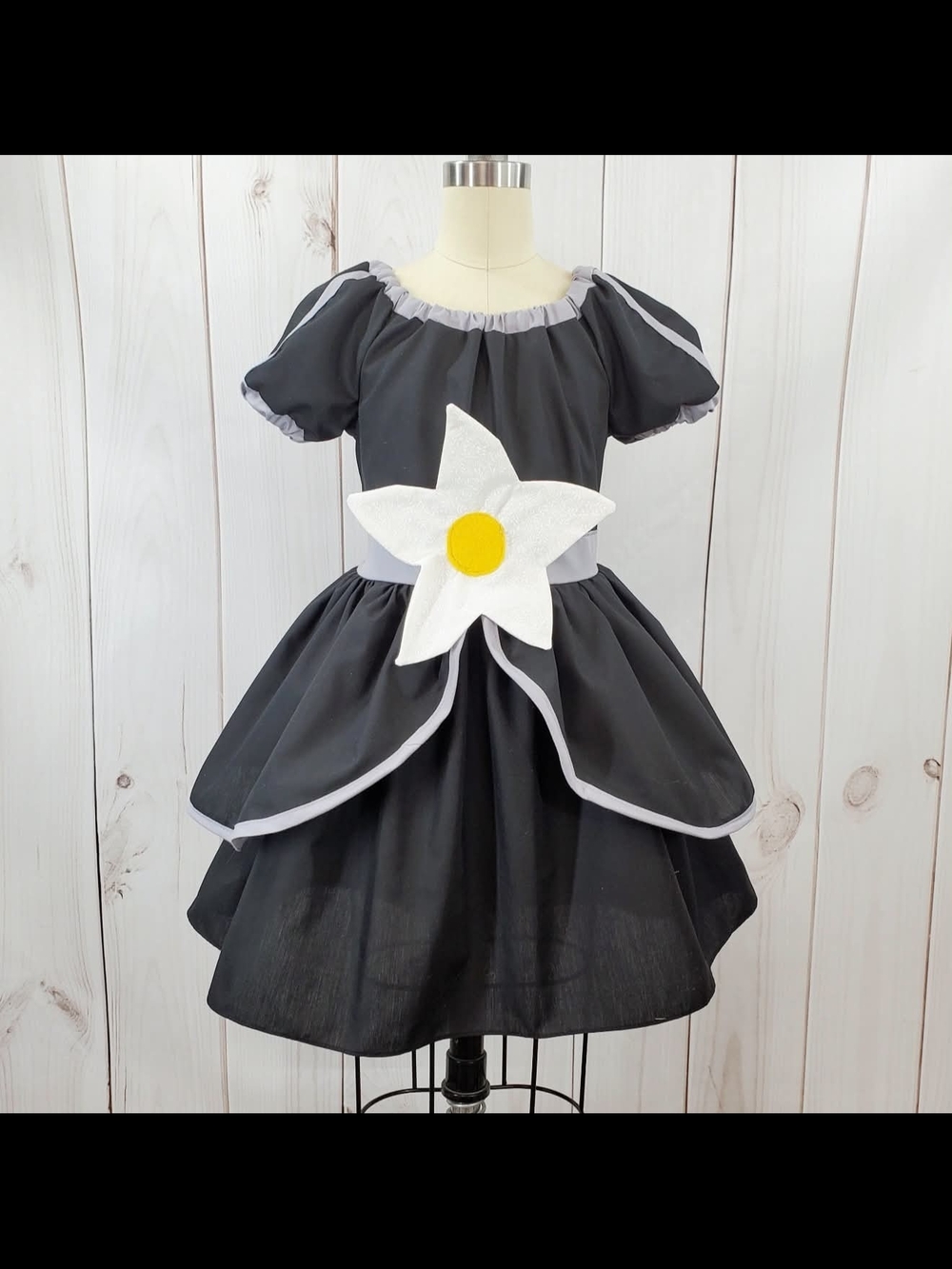 Princess Magnolia Princess in Black Handmade Costume Dress Mask 4/5t Halloween